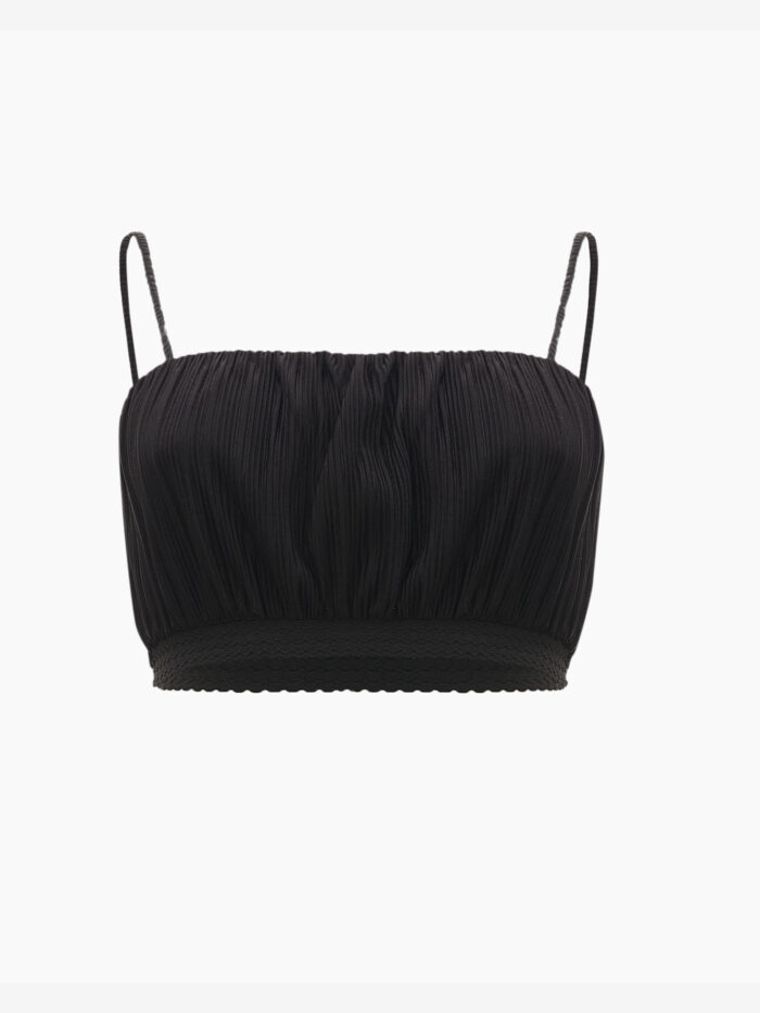 Pleura Crop